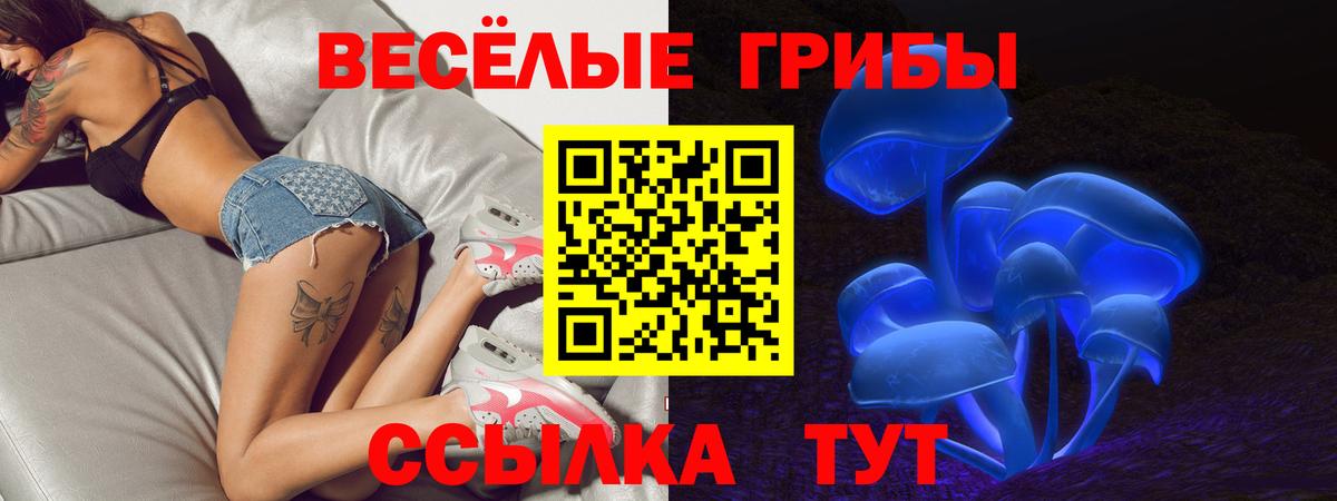 Галлюциногенные грибы Psilocybe  Вход с VPN  Галлюциногенные грибы ЛСД  Вязники 